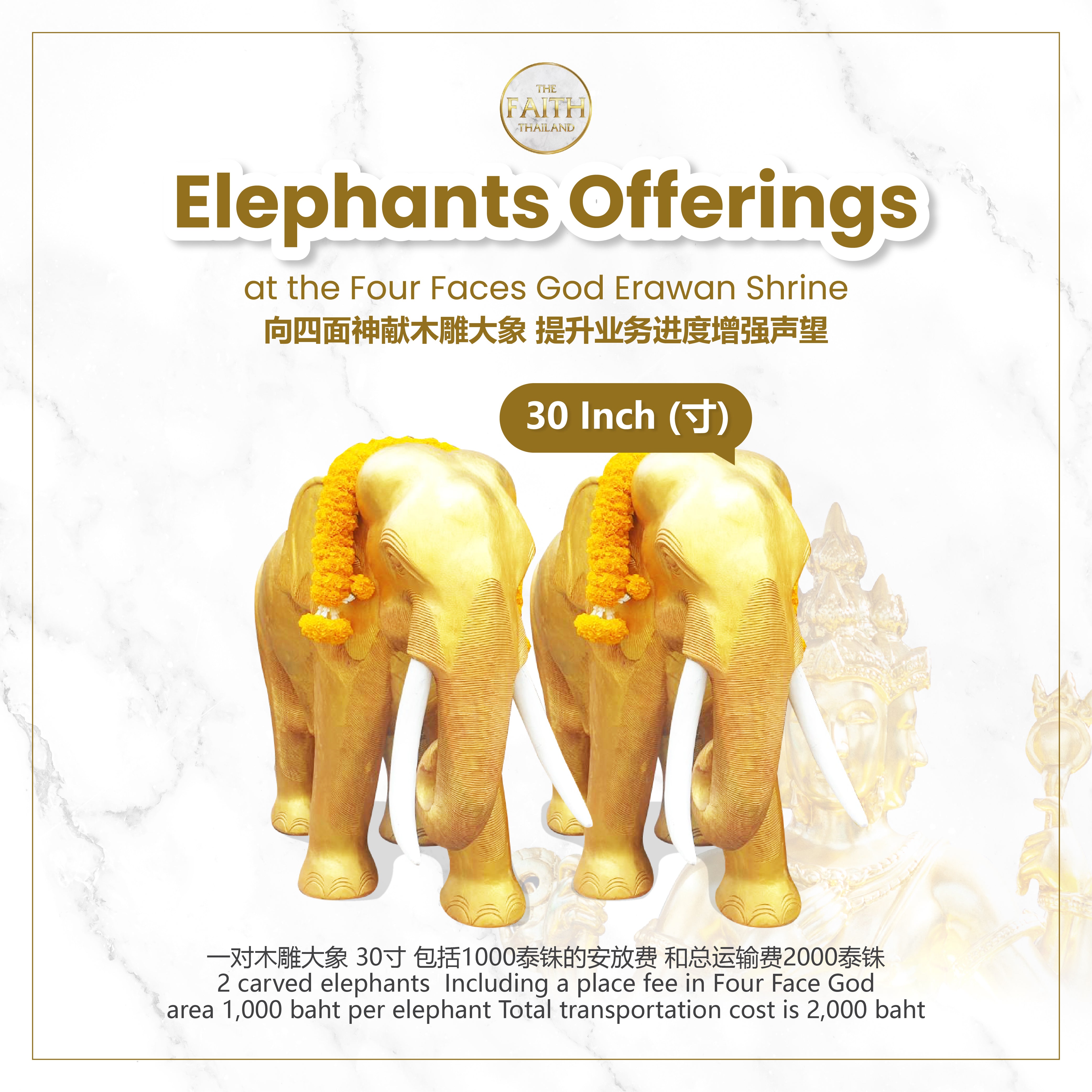 Elephants Offerings at the Four Faces God Erawan Shrine