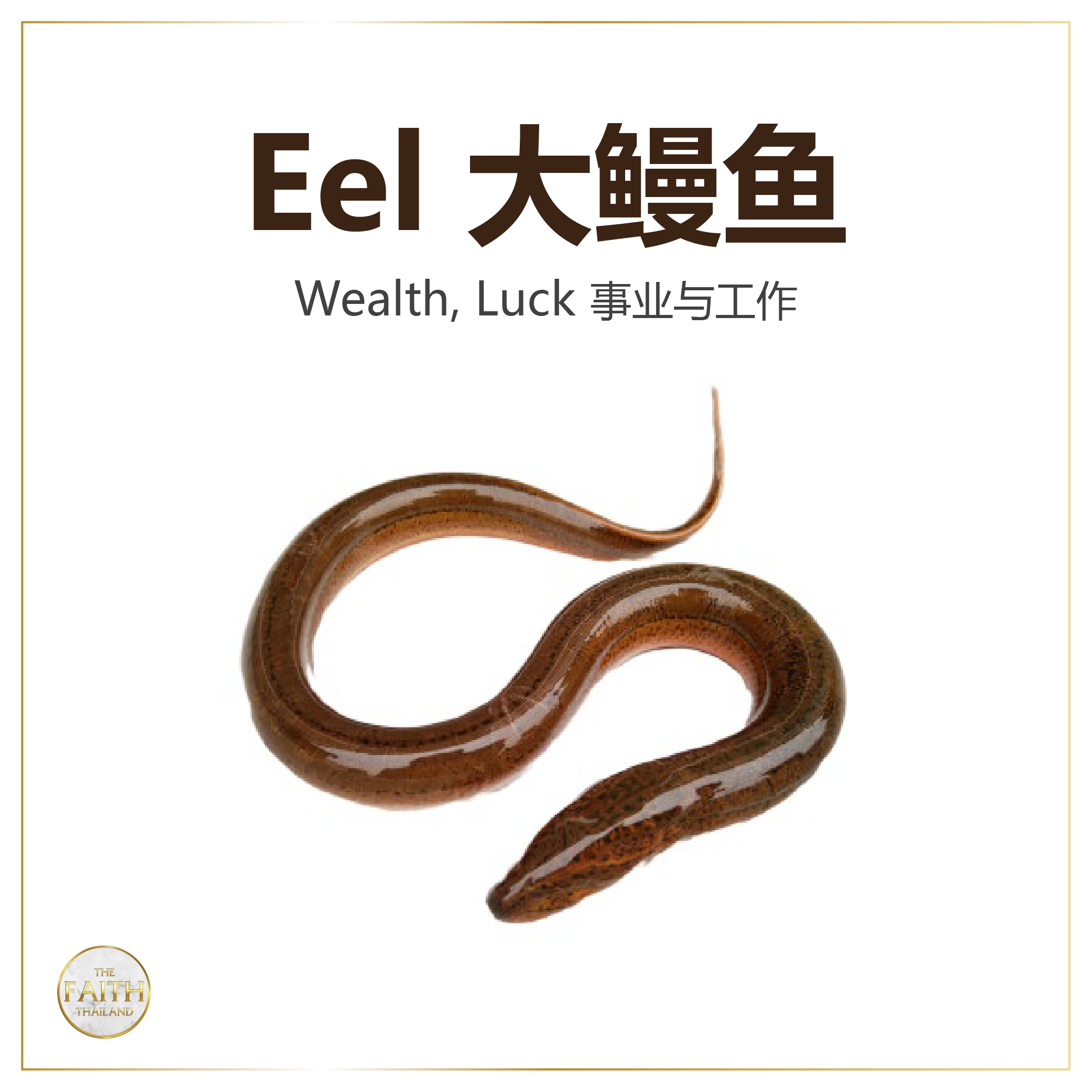 Fish Release Merit-Making Service