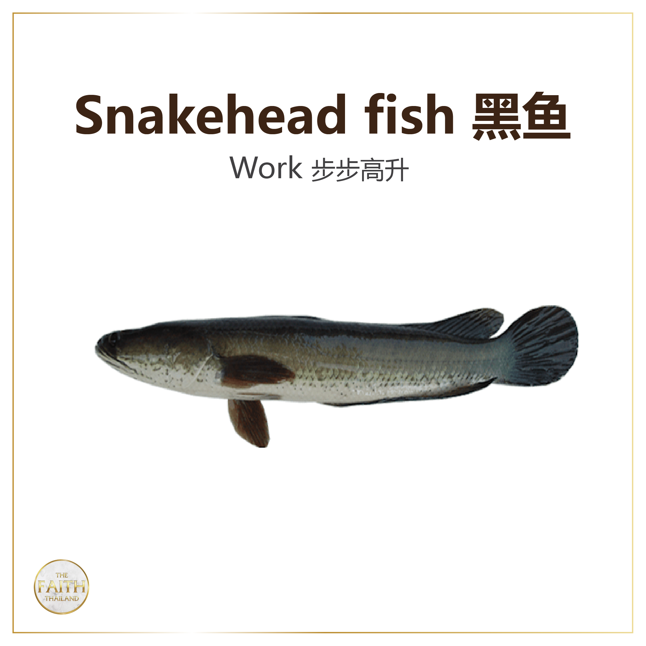 Fish Release Merit-Making Service